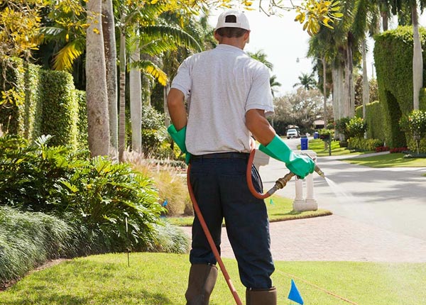 About Capistrano Beach CA Pest Control Pros
